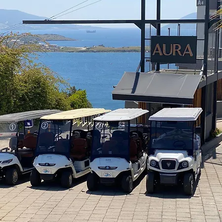 Aura 公寓 *